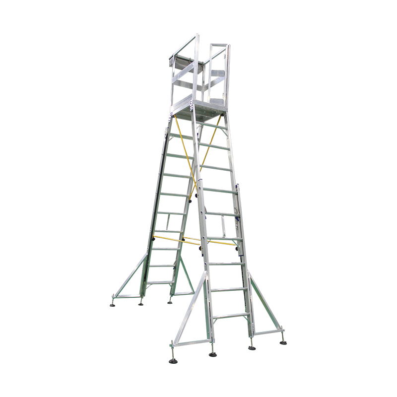 Stair Climbing Working Ladder