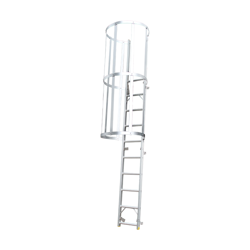 Cage Ladder