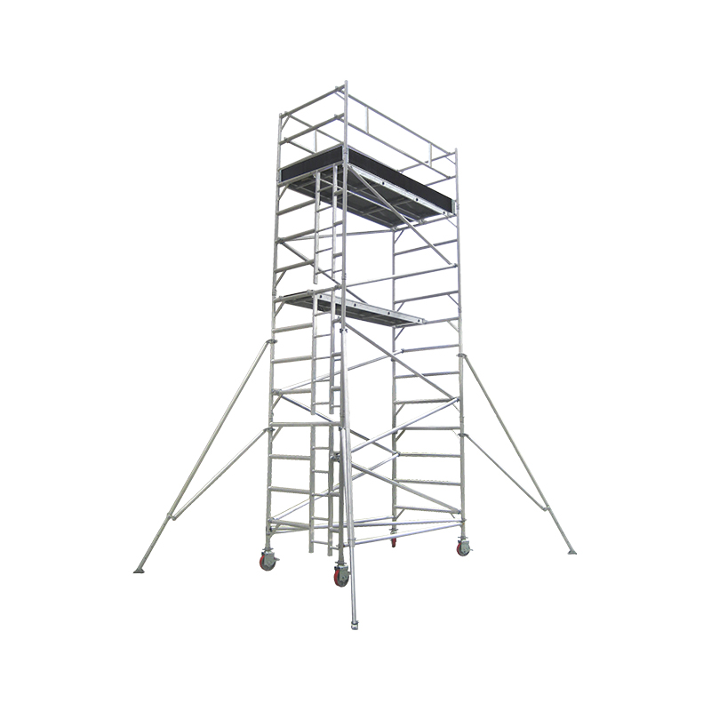 Double Width Scaffold with Vertical Ladder