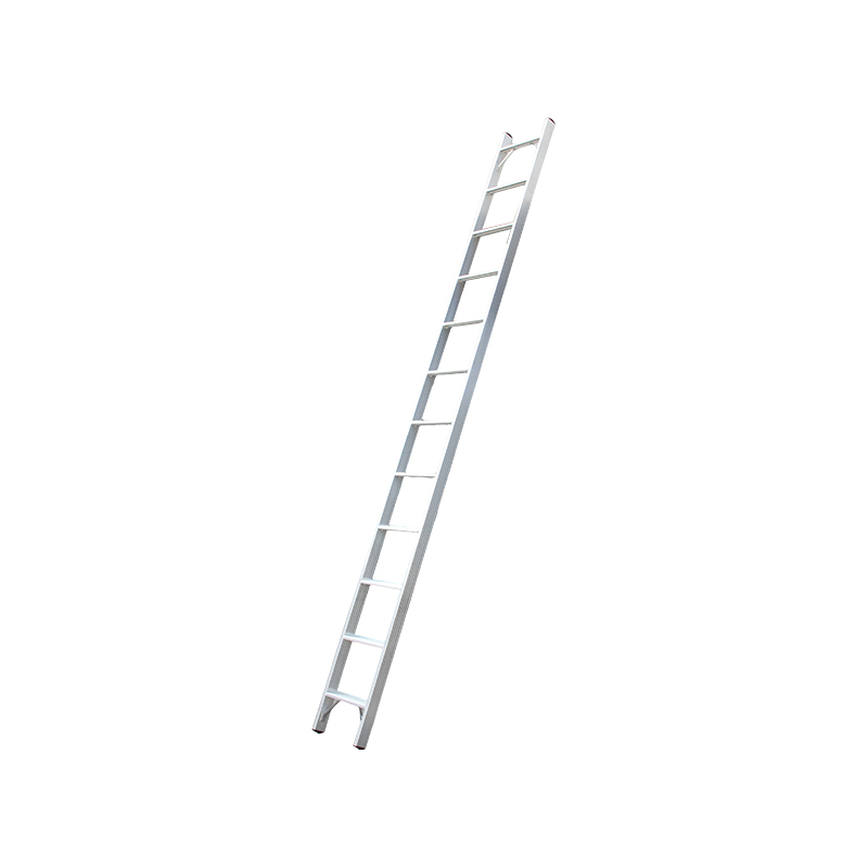 Single Ladder