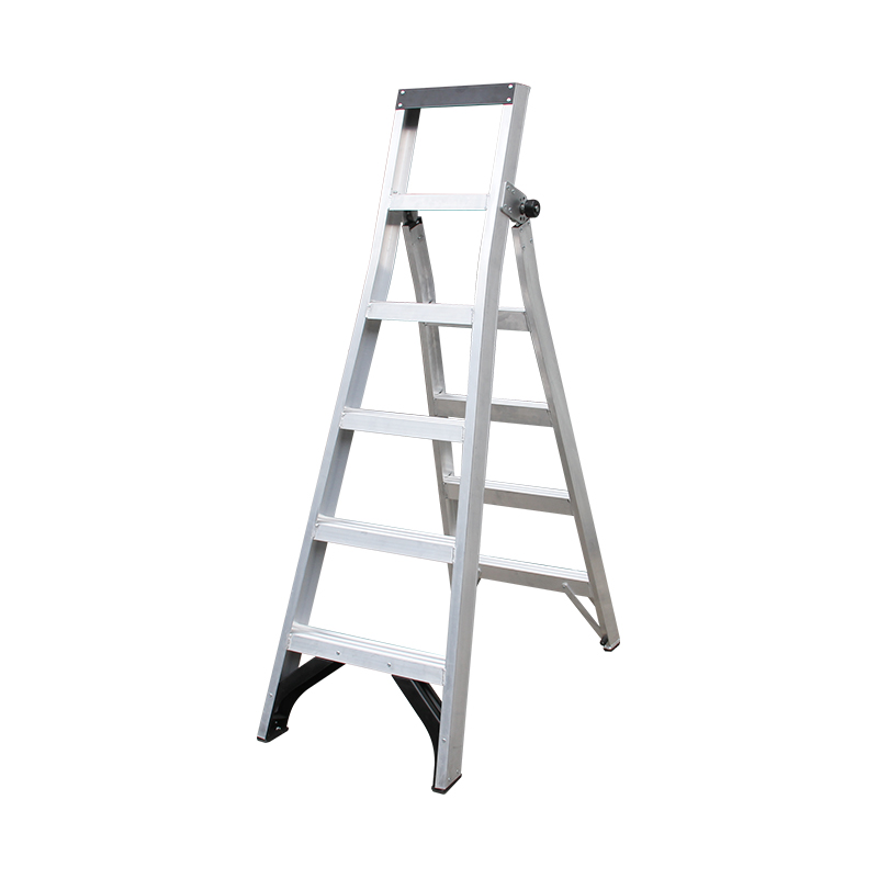 Quicklock Dual Purpose Ladder