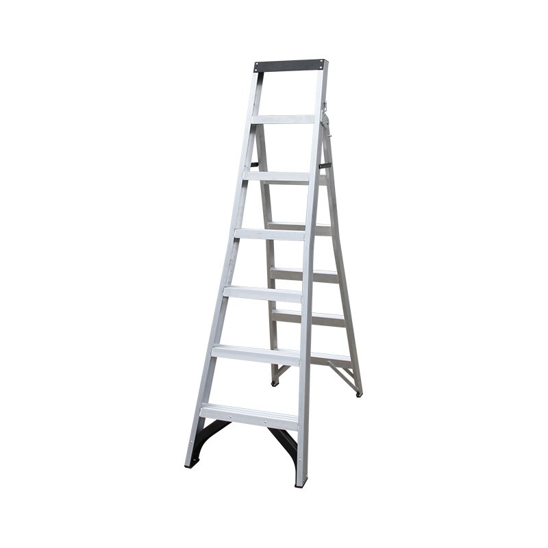 Heavy Duty Dual Purpose Ladder