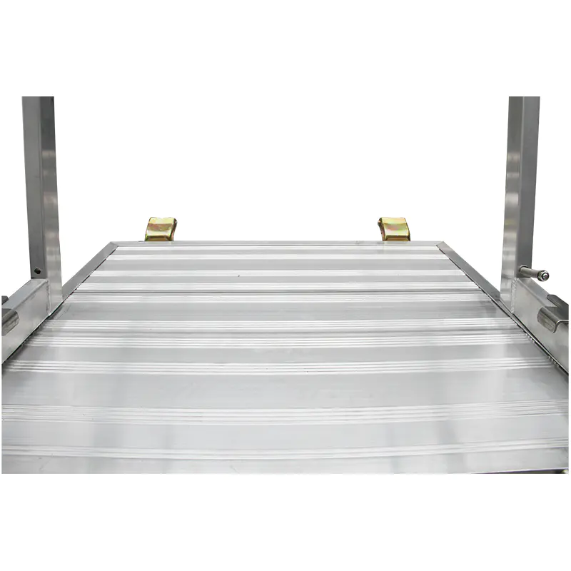 Adjustable Scaffolding Access Ladder