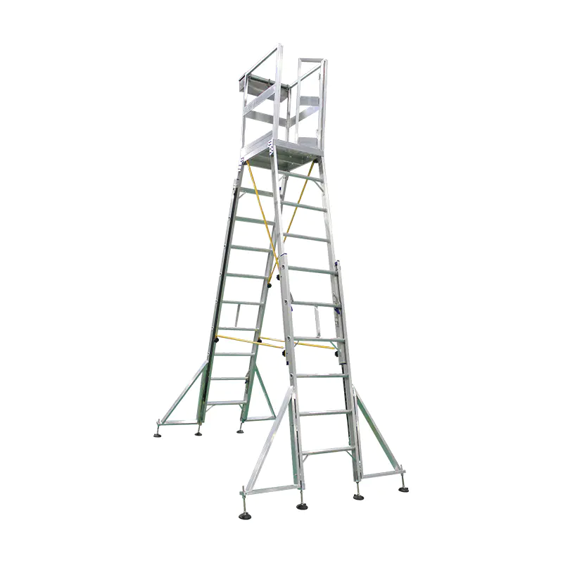 Stair Climbing Working Ladder