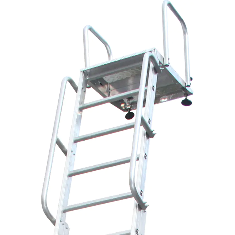 Adjustable Boarding Ladder