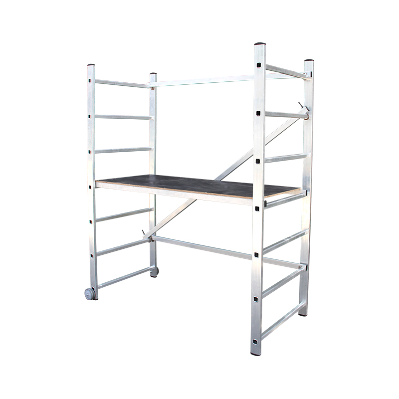 Ladder Scaffold