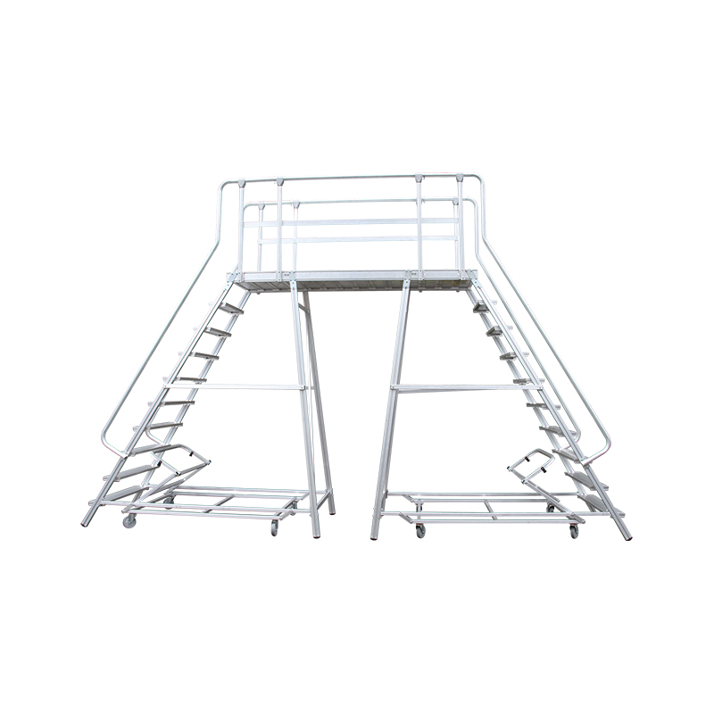 Platform For Bridging